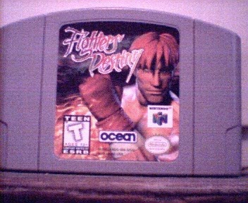 Fighter's Destiny